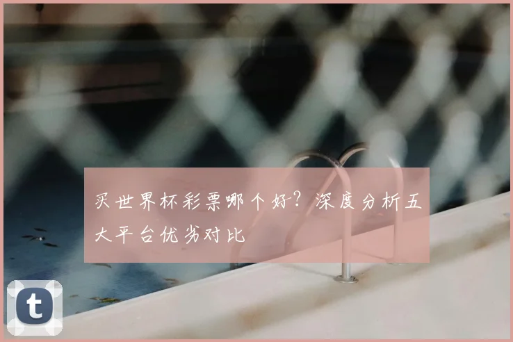 买世界杯彩票哪个好？深度分析五大平台优劣对比