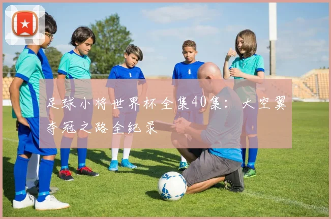 足球小将世界杯全集40集：大空翼夺冠之路全纪录