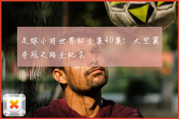 足球小将世界杯全集40集：大空翼夺冠之路全纪录