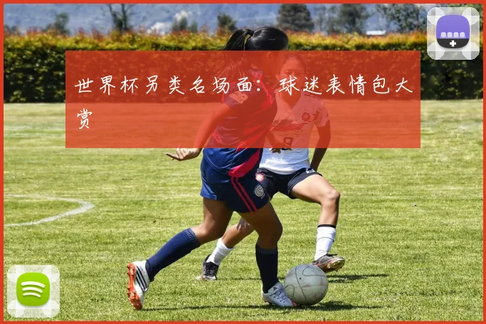 世界杯另类名场面:球迷表情包大赏