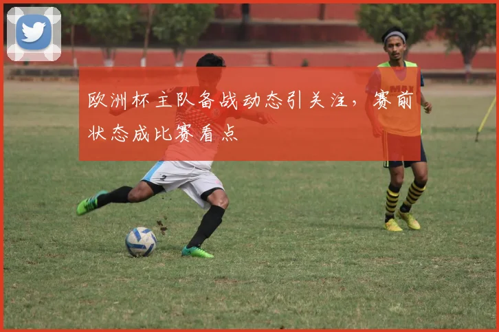 欧洲杯主队备战动态引关注，赛前状态成比赛看点