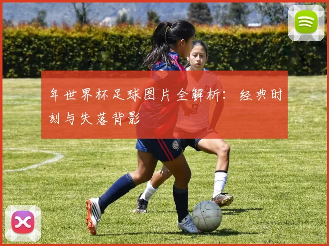 年世界杯足球图片全解析:经典时刻与失落背影