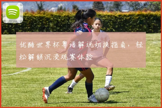 优酷世界杯粤语解说切换指南,轻松解锁沉浸观赛体验