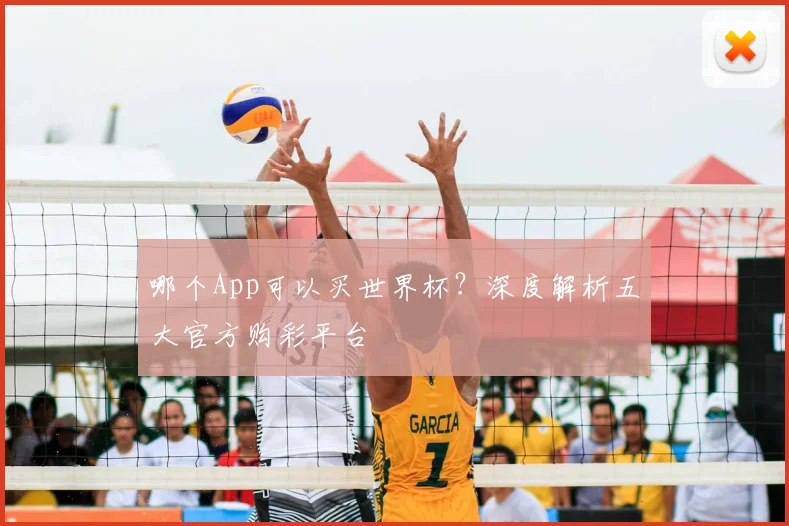 哪个App可以买世界杯？深度解析五大官方购彩平台
