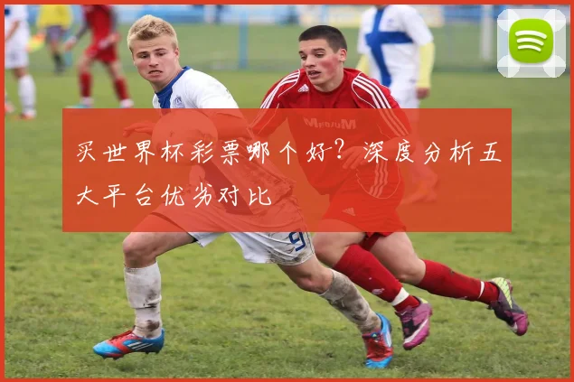 买世界杯彩票哪个好？深度分析五大平台优劣对比