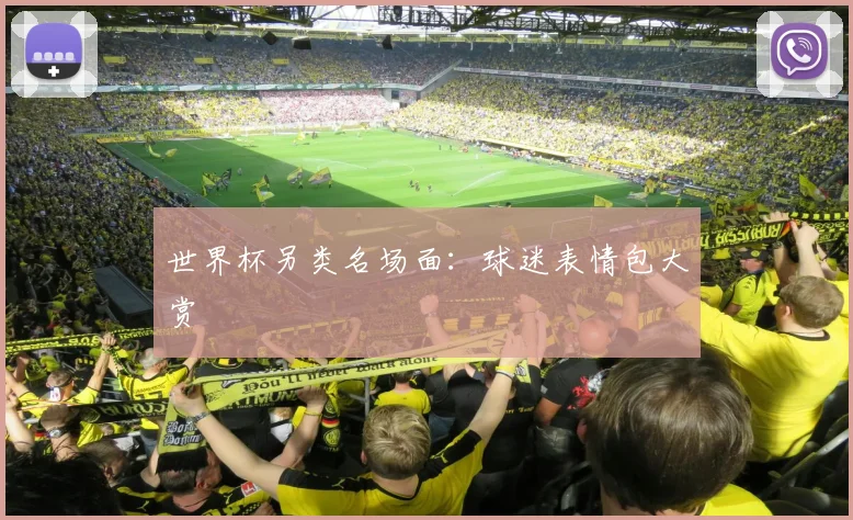世界杯另类名场面:球迷表情包大赏