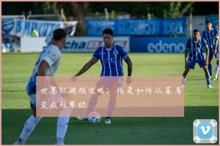 世界杯游戏攻略:我是如何从菜鸟变成冠军的