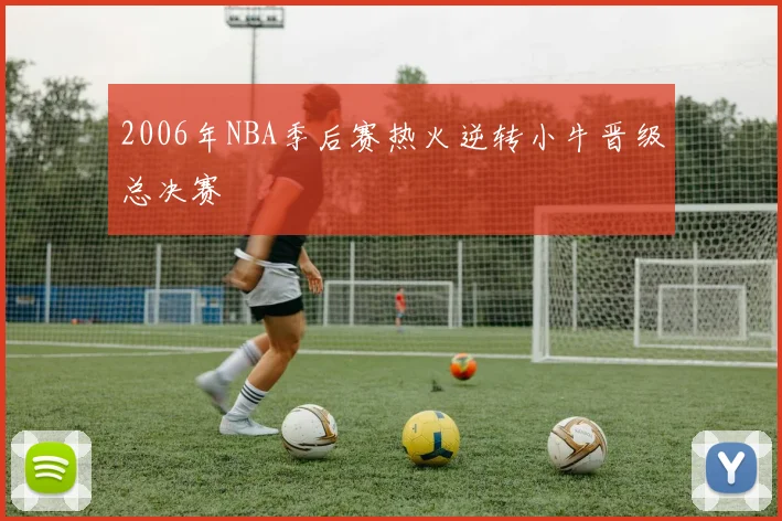 2006年NBA季后赛热火逆转小牛晋级总决赛