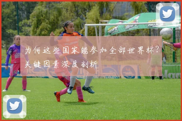 为何这些国家能参加全部世界杯?关键因素深度剖析