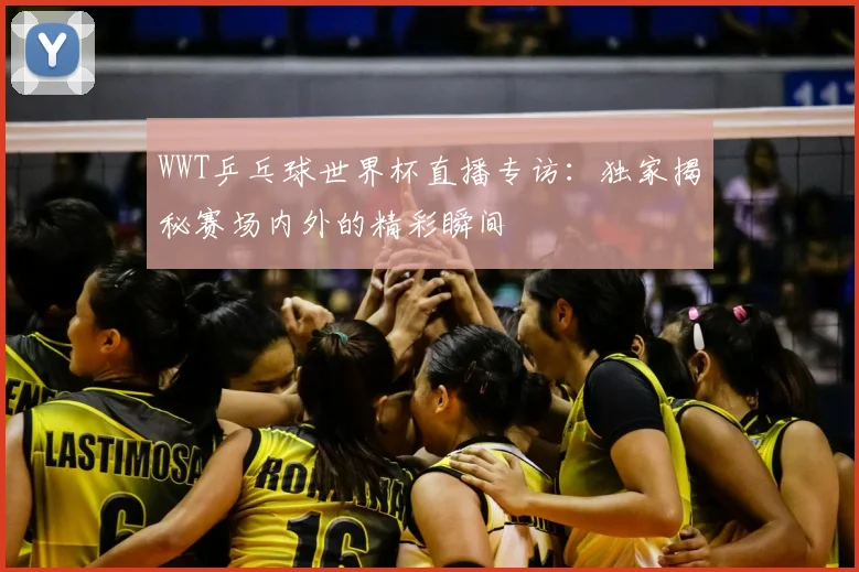 WWT乒乓球世界杯直播专访：独家揭秘赛场内外的精彩瞬间