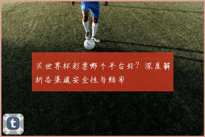 买世界杯彩票哪个平台好?深度解析各渠道安全性与赔率