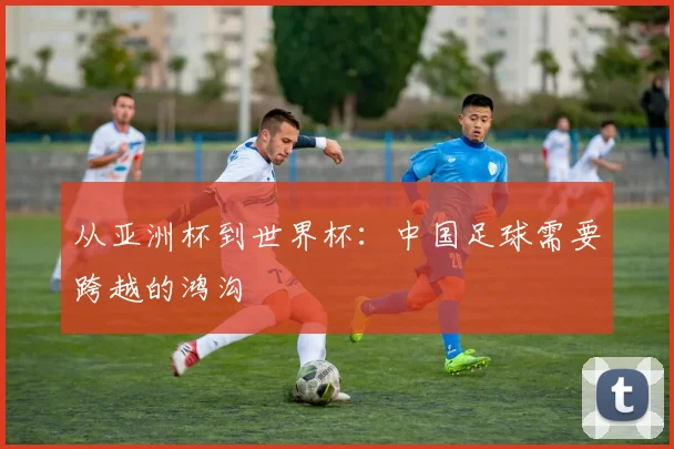 从亚洲杯到世界杯：中国足球需要跨越的鸿沟
