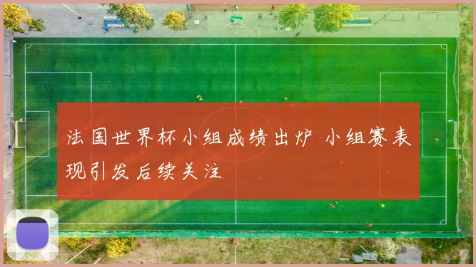 法国世界杯小组成绩出炉 小组赛表现引发后续关注