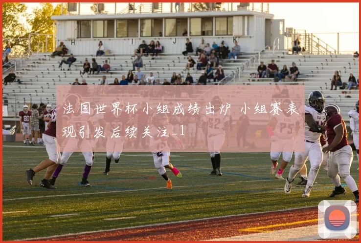 法国世界杯小组成绩出炉 小组赛表现引发后续关注_1