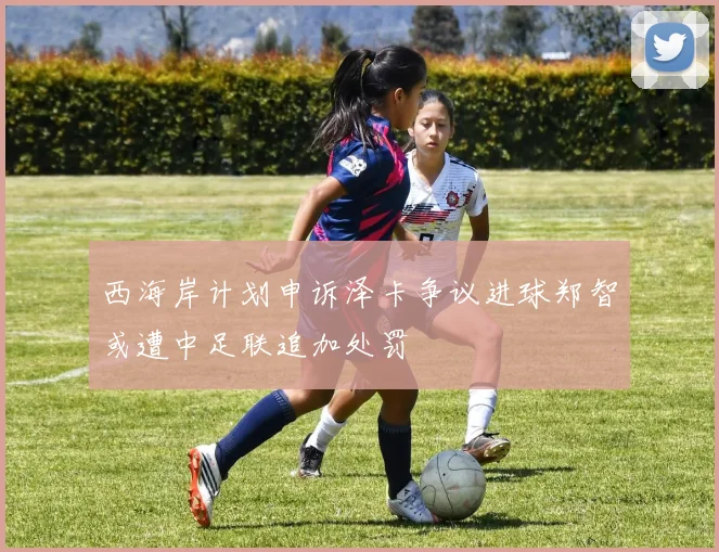 西海岸计划申诉泽卡争议进球郑智或遭中足联追加处罚
